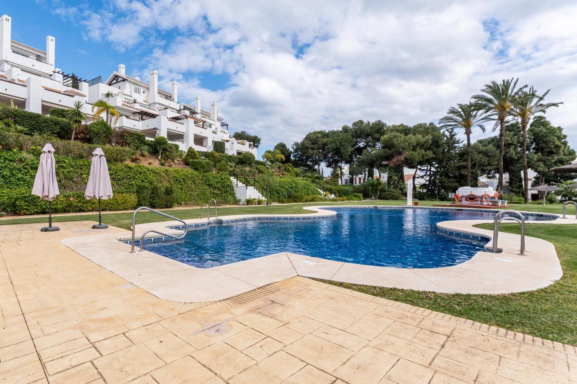 Appartement Palm Beachfront *