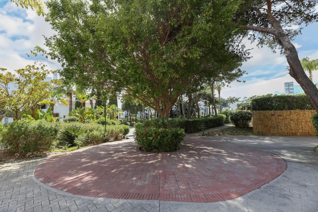 Palm Beachfront