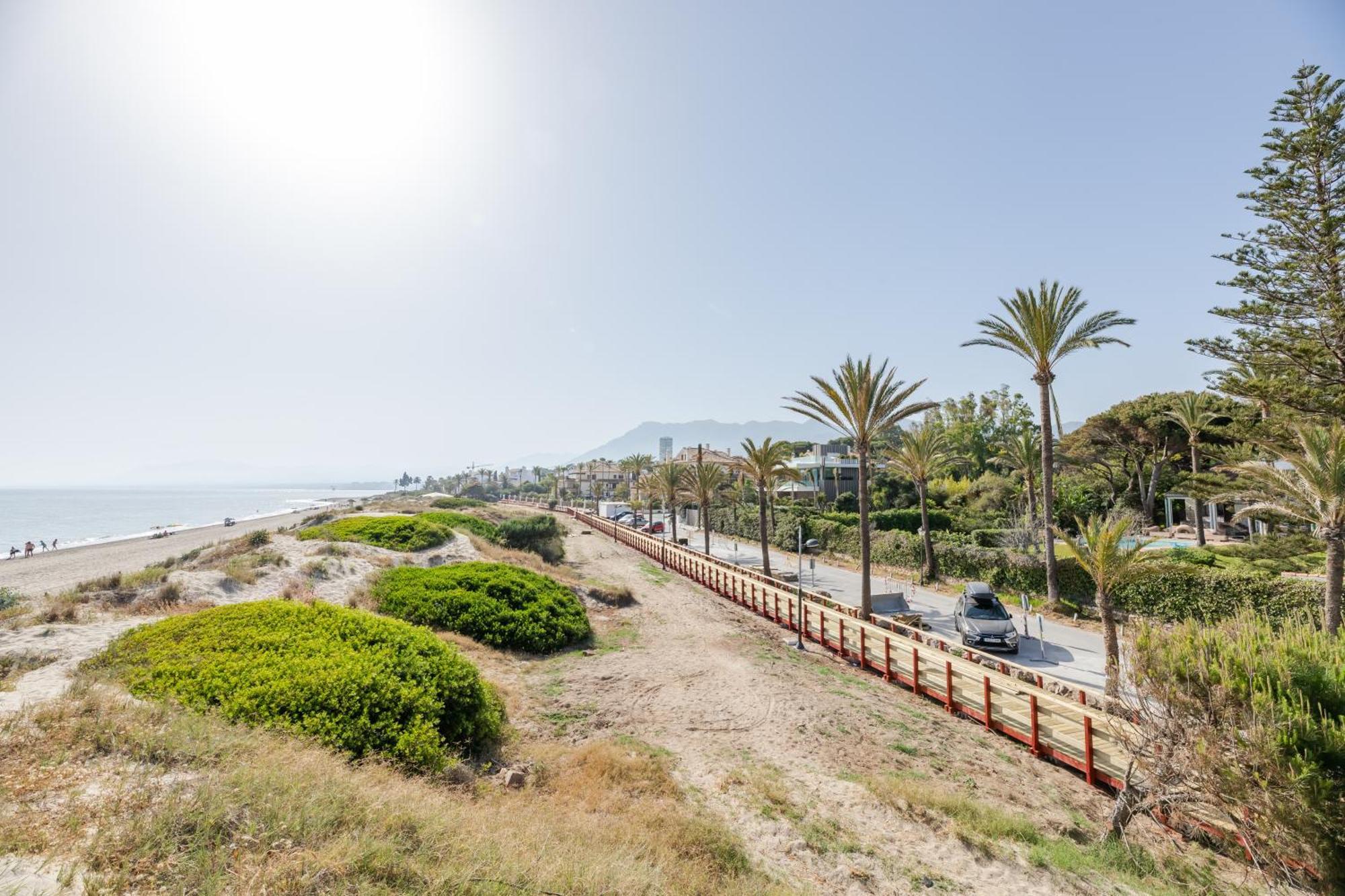 Palm Beachfront
